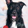 animais eci 28 maio a 11 junho p1.jpg